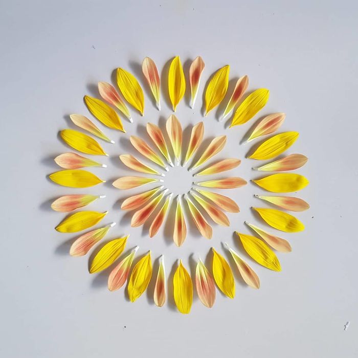 I Create Mandalas Out Of Nature Materials As A Way Of Meditation