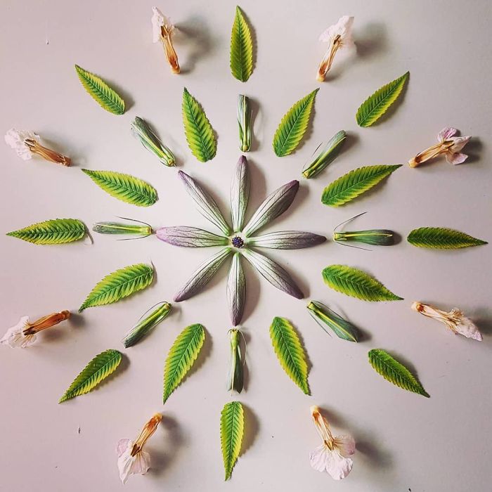 I Create Mandalas Out Of Nature Materials As A Way Of Meditation