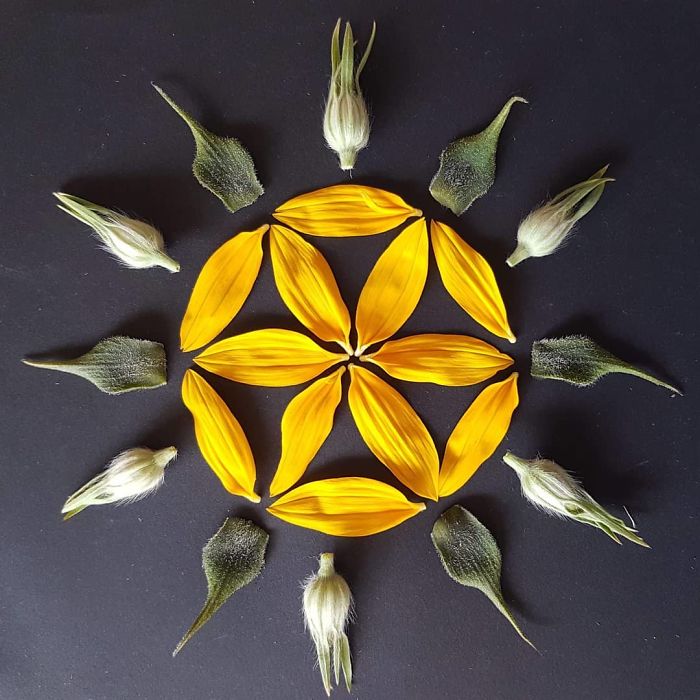 I Create Mandalas Out Of Nature Materials As A Way Of Meditation