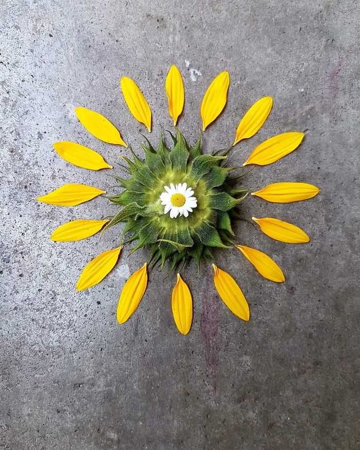 I Create Mandalas Out Of Nature Materials As A Way Of Meditation