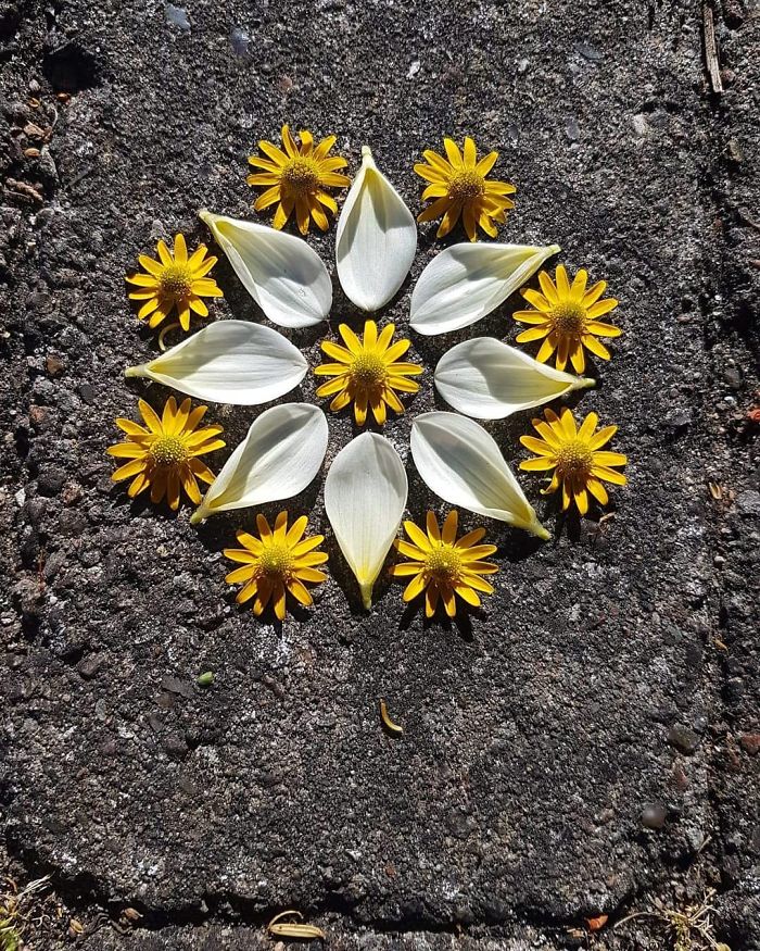 I Create Mandalas Out Of Nature Materials As A Way Of Meditation