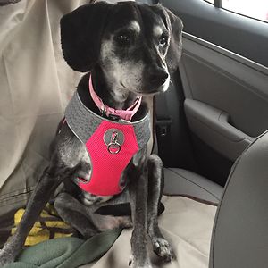 stephanie_ellis1 avatar