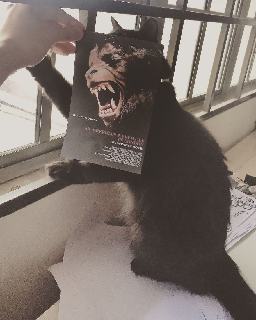 Photographer Follows Cats Around To "Insert" Them Behind Famous Movie Posters