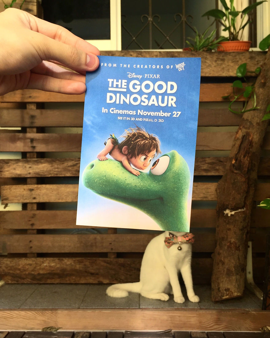 Photographer Follows Cats Around To "Insert" Them Behind Famous Movie Posters
