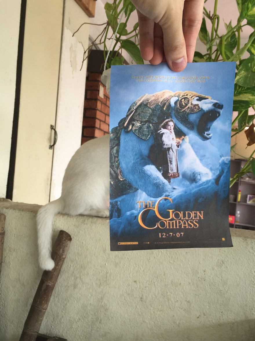 Photographer Follows Cats Around To "Insert" Them Behind Famous Movie Posters