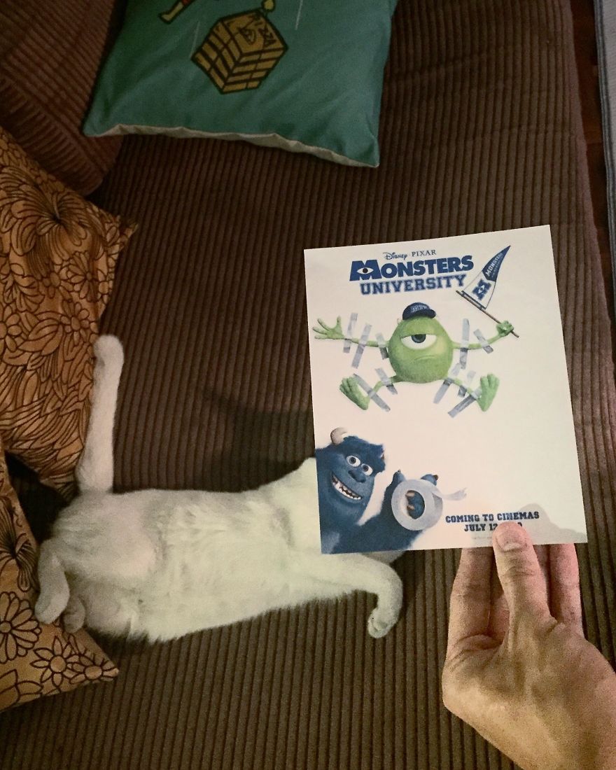 Photographer Follows Cats Around To "Insert" Them Behind Famous Movie Posters