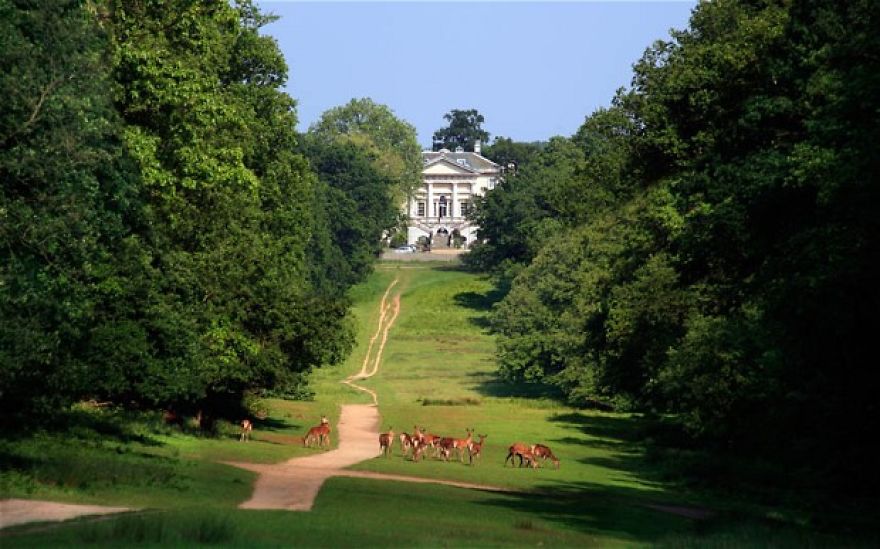 Man & Beast: The Deer Of Richmond Park
