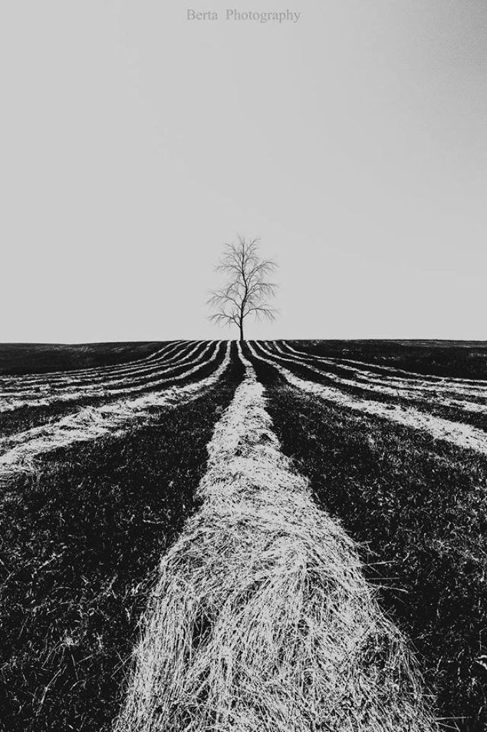 Minimalism In Landscapes