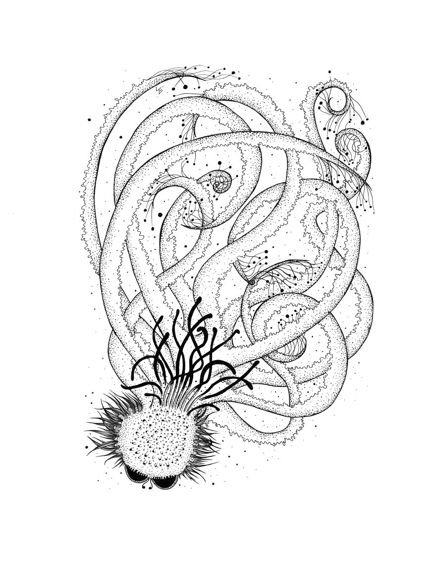 I Create Monsters From Animals Forms