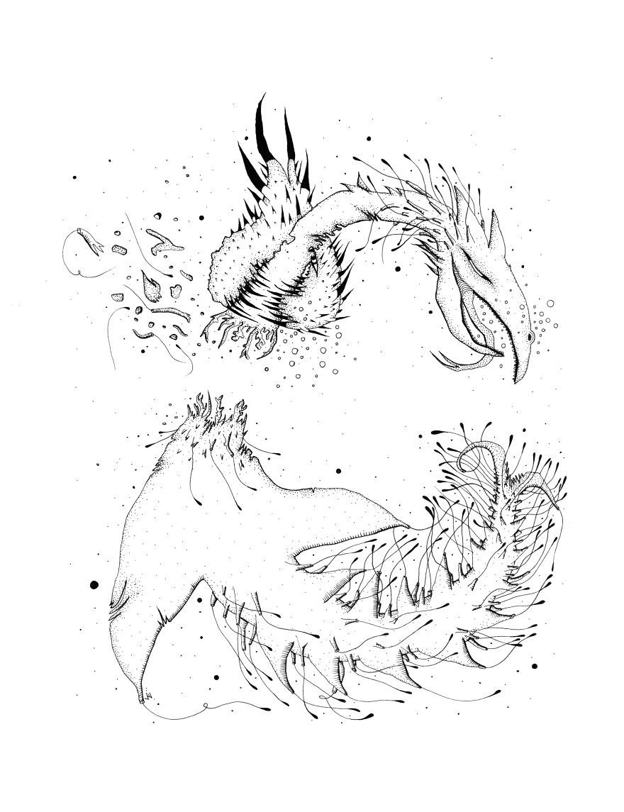 I Create Monsters From Animals Forms