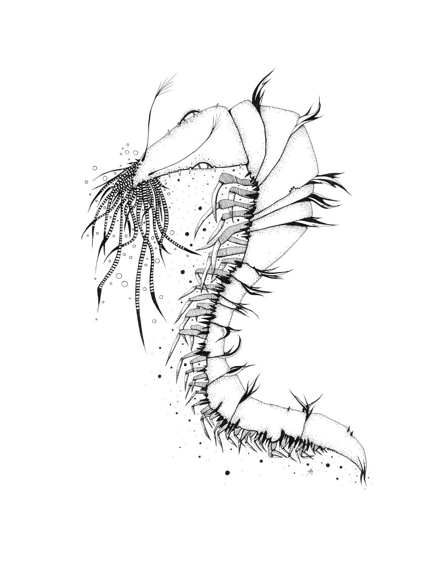 I Create Monsters From Animals Forms