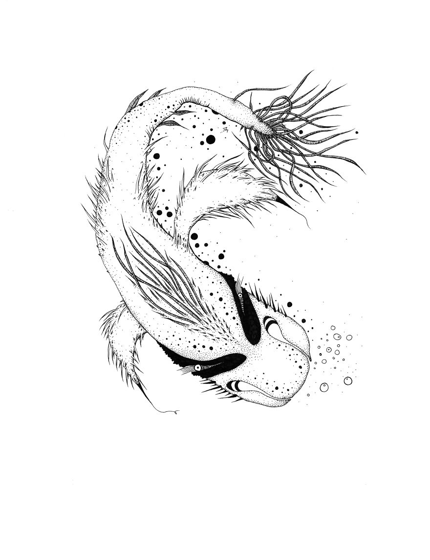 I Create Monsters From Animals Forms