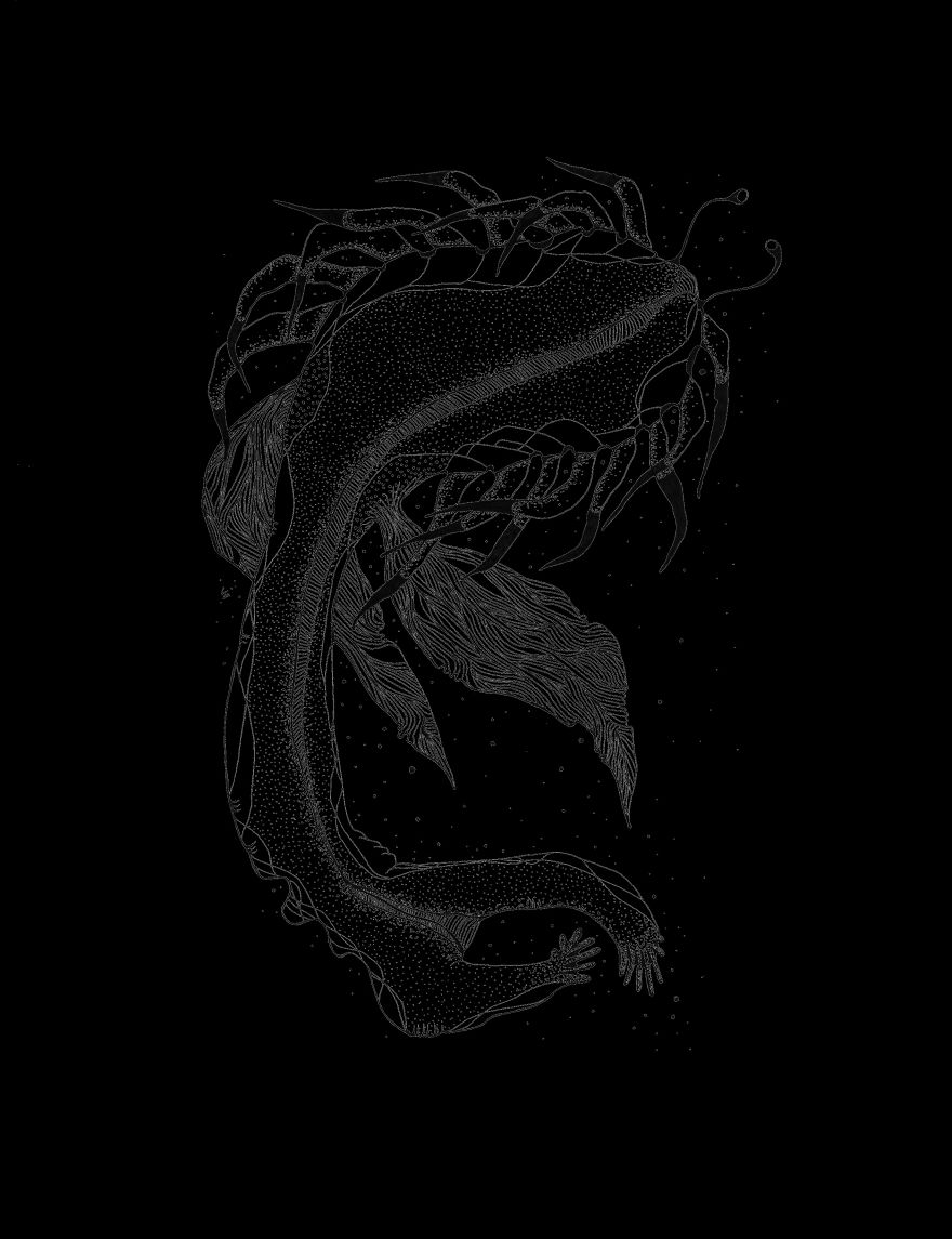 I Create Monsters From Animals Forms