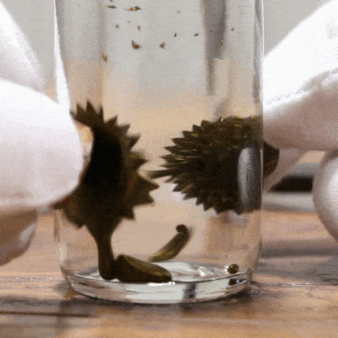 My 10-Year Creative Process Manifested In Three Ferrofluid Sculptures My 10-Year Creative Process Manifested In Three Ferrofluid Sculptures
