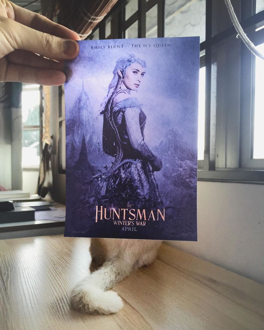 Photographer Follows Cats Around To "Insert" Them Behind Famous Movie Posters