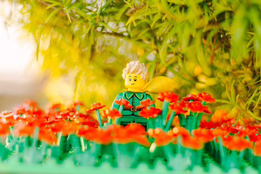 Photographer Pictures Iconic Scenes From The Book "The Little Prince" With Lego Photographer Pictures Iconic Scenes From The Book "The Little Prince" With Lego