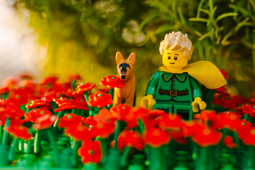 Photographer Pictures Iconic Scenes From The Book "The Little Prince" With Lego Photographer Pictures Iconic Scenes From The Book "The Little Prince" With Lego