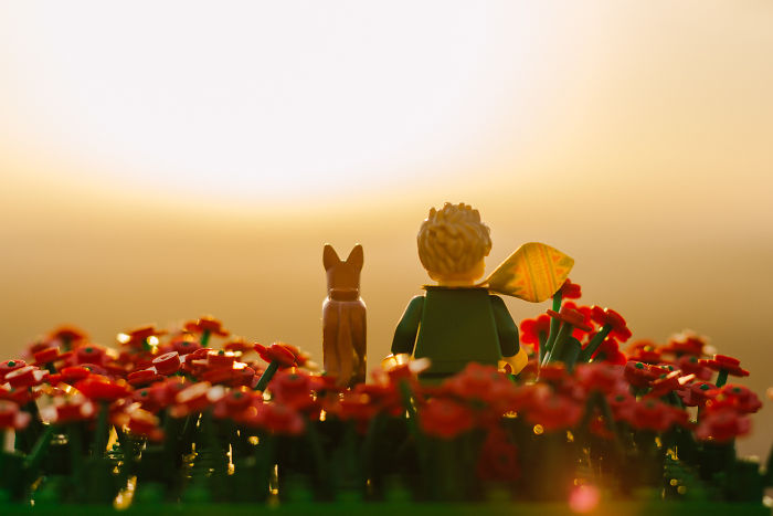 Photographer Pictures Iconic Scenes From The Book “The Little Prince” With Lego
