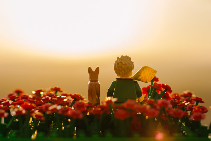 Photographer Pictures Iconic Scenes From The Book "The Little Prince" With Lego