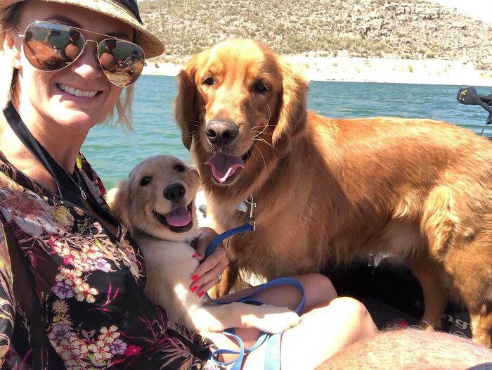 Hero Dog Gets Bitten By A Venomous Rattlesnake After Jumping In Front Of It To Save His Human Hero Dog Gets Bitten By A Venomous Rattlesnake After Jumping In Front Of It To Save His Human