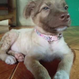 sarahlarissadeguzman avatar