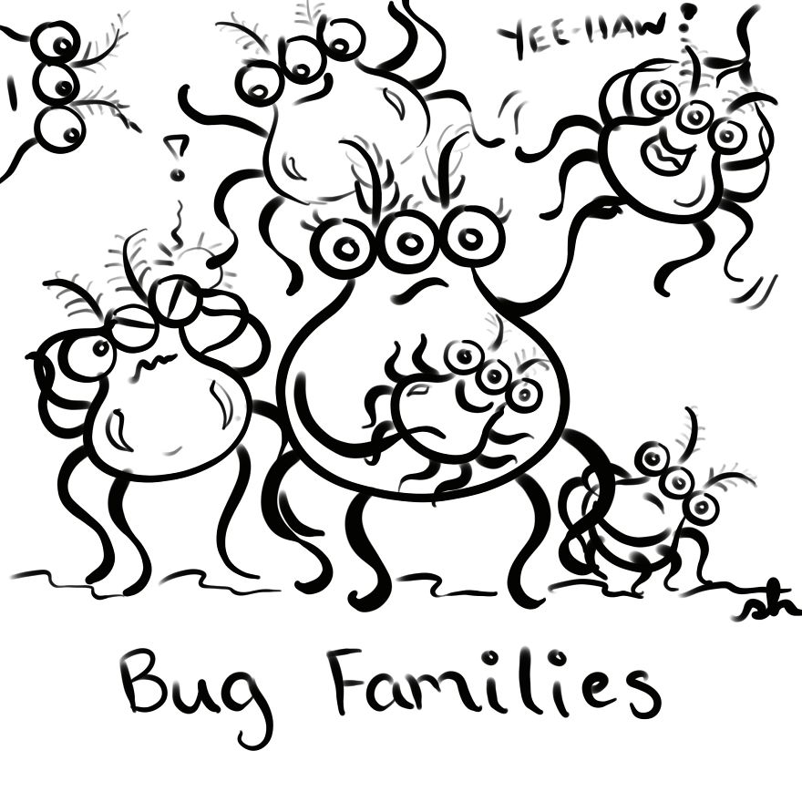 Silly Spiders Trying To Skate On Glass