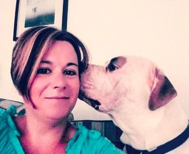 This Puppy With Fluffy Eyebrows Destroyed A Couch Of £ 2,500, But It Is Impossible To Get Angry This Puppy With Fluffy Eyebrows Destroyed A Couch Of £ 2,500, But It Is Impossible To Get Angry