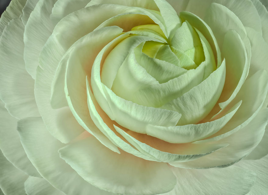 My Dad Captures The Beauty And Wonders In Tiny Things