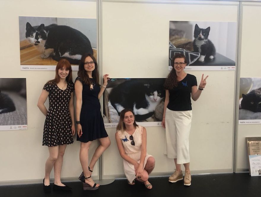 "Cat Care Community" - Who Are We?