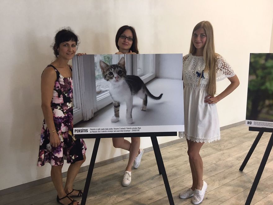 "Cat Care Community" - Who Are We? "Cat Care Community" - Who Are We?