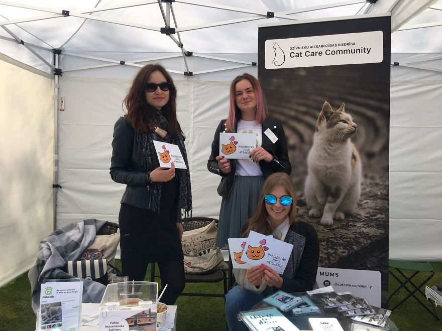 "Cat Care Community" - Who Are We? "Cat Care Community" - Who Are We?