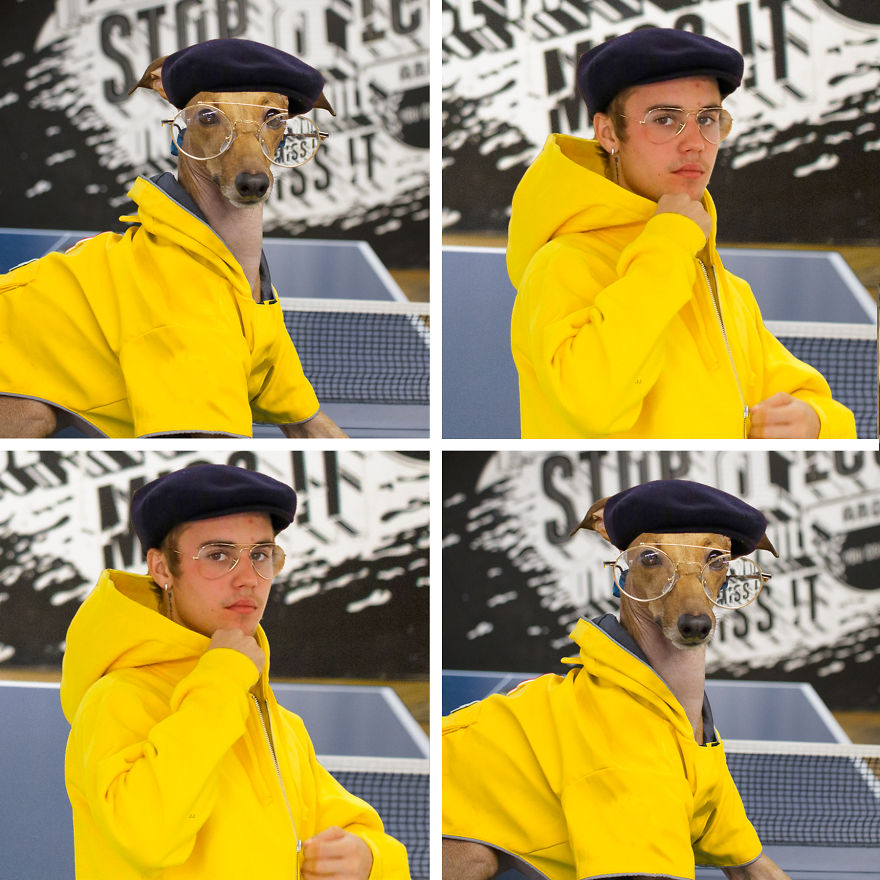 Who Wore It Better: Celebrity Dog Edition!