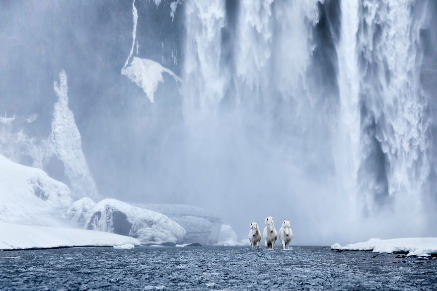 Fairytale-Like Pictures Of Horses Living In Extreme Iceland Conditions