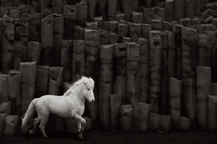 Fairytale-Like Pictures Of Horses Living In Extreme Iceland Conditions