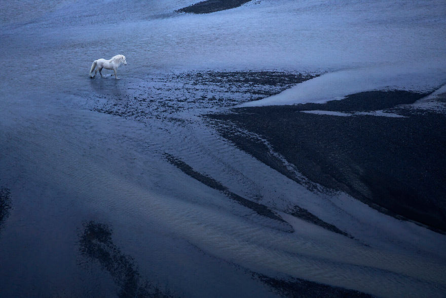 Fairytale-Like Pictures Of Horses Living In Extreme Iceland Conditions Fairytale-Like Pictures Of Horses Living In Extreme Iceland Conditions