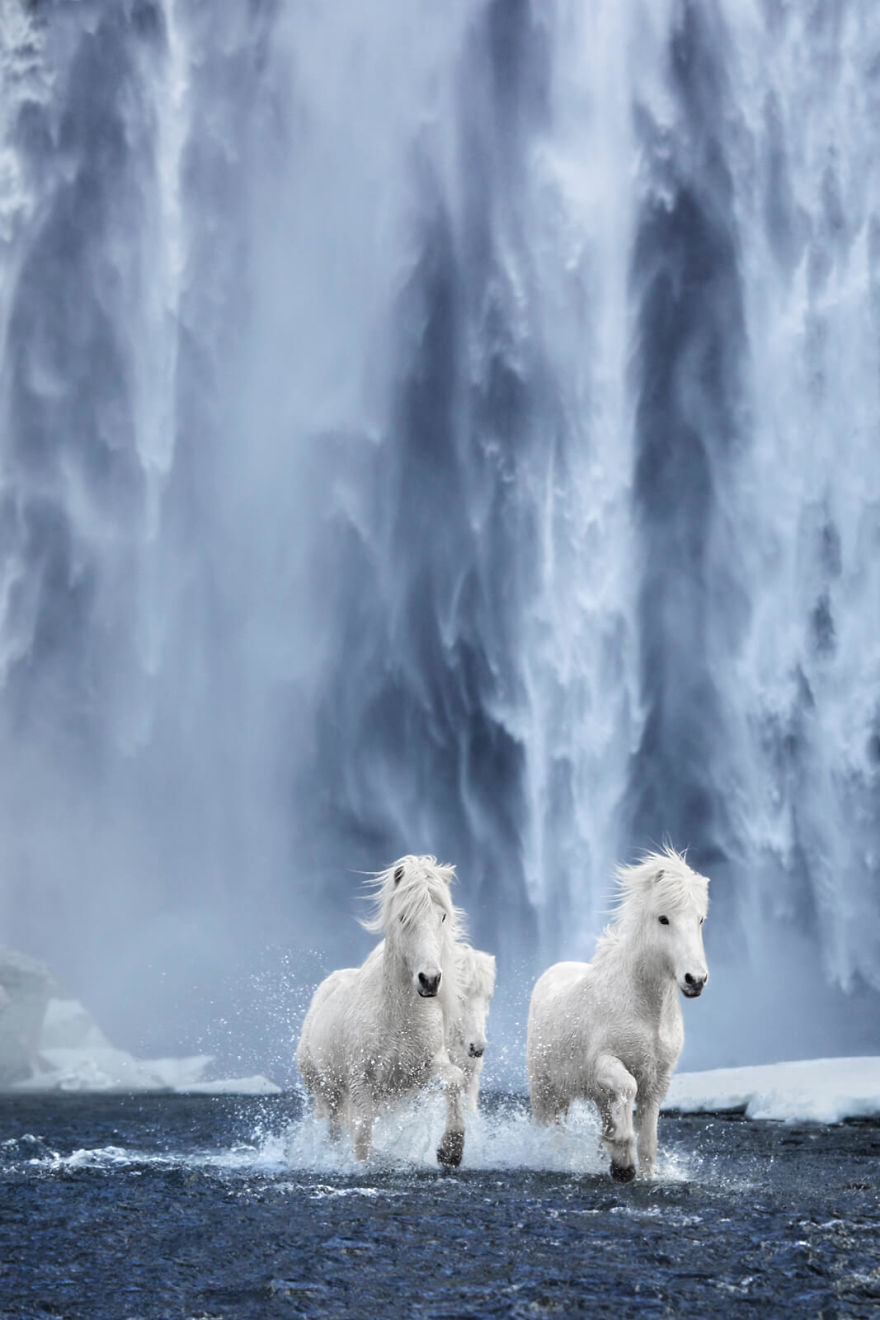 Fairytale-Like Pictures Of Horses Living In Extreme Iceland Conditions Fairytale-Like Pictures Of Horses Living In Extreme Iceland Conditions