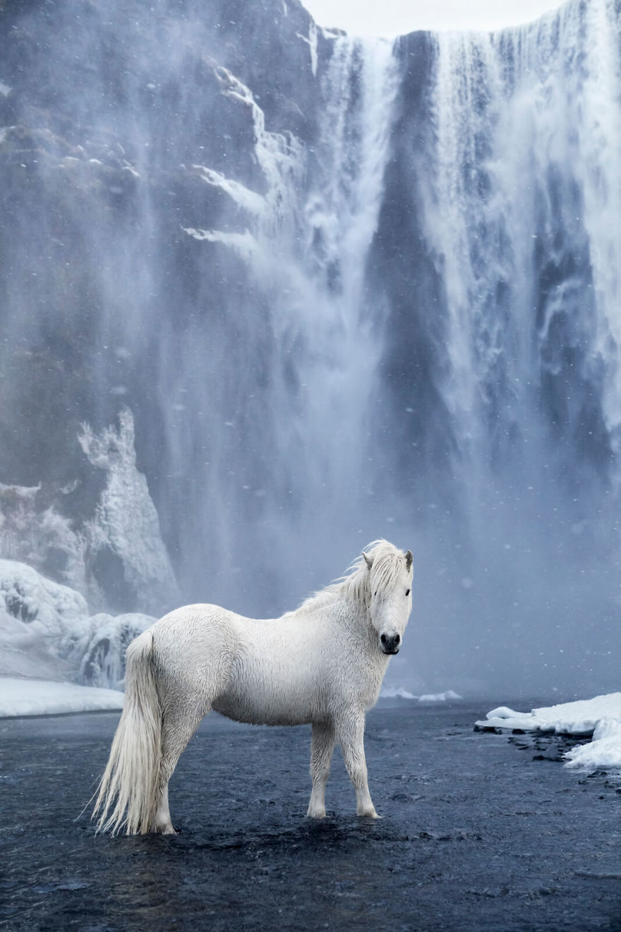 Fairytale-Like Pictures Of Horses Living In Extreme Iceland Conditions