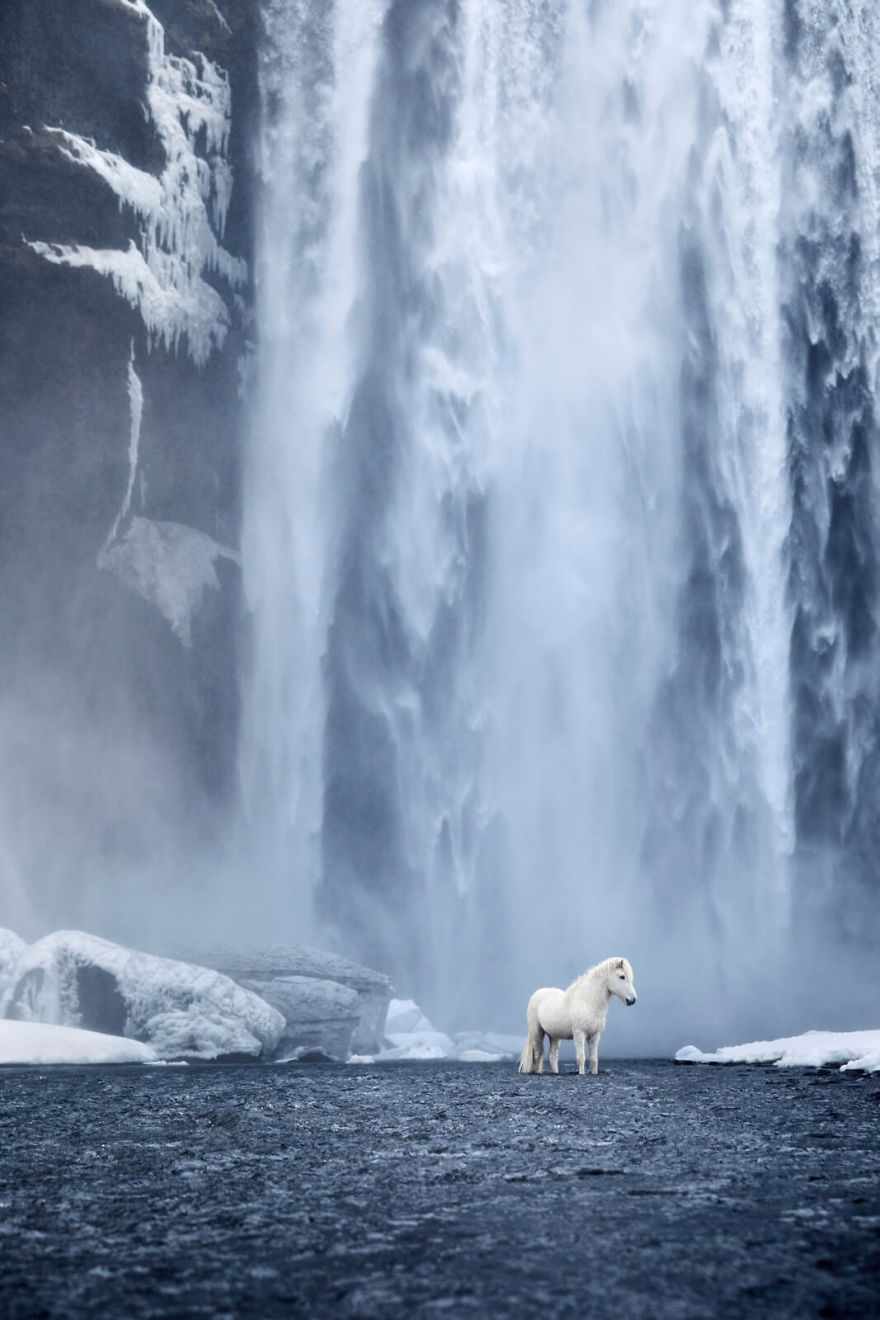 Fairytale-Like Pictures Of Horses Living In Extreme Iceland Conditions Fairytale-Like Pictures Of Horses Living In Extreme Iceland Conditions