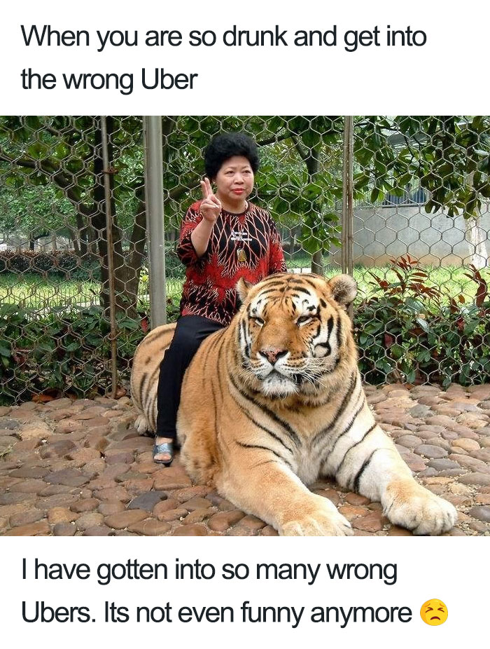 Animals-Using-Uber-Memes