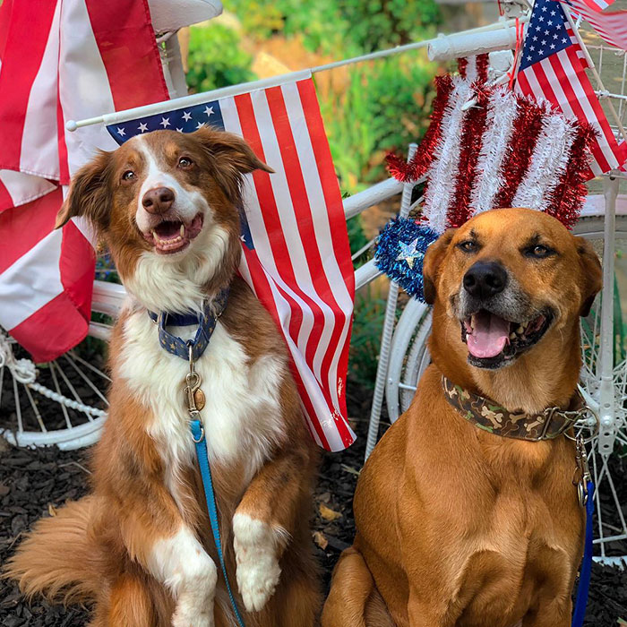 Woman Gets A Panic Attack In An Airport, And The Way Her Service Dog Reacts Will Melt Your Heart