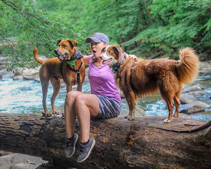 Woman Gets A Panic Attack In An Airport, And The Way Her Service Dog Reacts Will Melt Your Heart