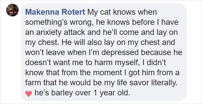 Woman Gets A Panic Attack In An Airport, And The Way Her Service Dog Reacts Will Melt Your Heart Woman Gets A Panic Attack In An Airport, And The Way Her Service Dog Reacts Will Melt Your Heart