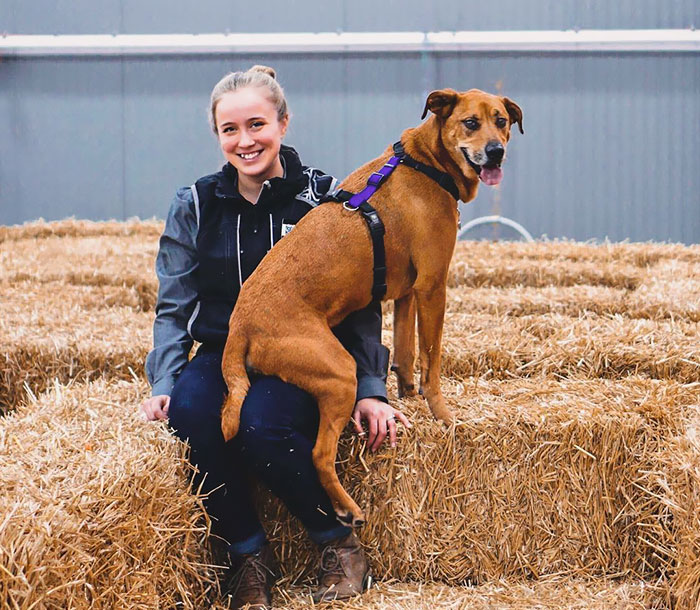 Woman Gets A Panic Attack In An Airport, And The Way Her Service Dog Reacts Will Melt Your Heart Woman Gets A Panic Attack In An Airport, And The Way Her Service Dog Reacts Will Melt Your Heart