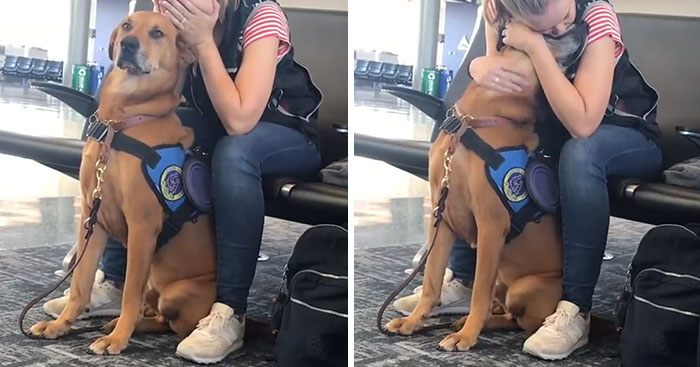 Woman Gets A Panic Attack In An Airport, And The Way Her Service Dog Reacts Will Melt Your Heart