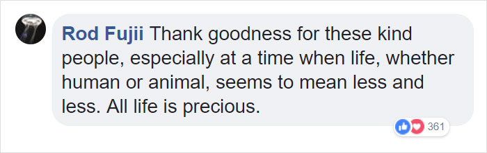 Fishermen Think They Found A Seal Floating On An Iceberg, Then They Take A Closer Look Fishermen Think They Found A Seal Floating On An Iceberg, Then They Take A Closer Look