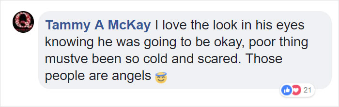 Fishermen Think They Found A Seal Floating On An Iceberg, Then They Take A Closer Look Fishermen Think They Found A Seal Floating On An Iceberg, Then They Take A Closer Look