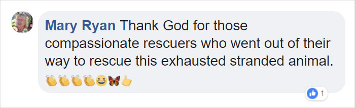 Fishermen Think They Found A Seal Floating On An Iceberg, Then They Take A Closer Look Fishermen Think They Found A Seal Floating On An Iceberg, Then They Take A Closer Look