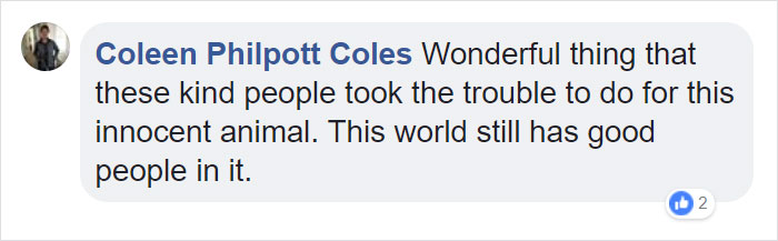 Fishermen Think They Found A Seal Floating On An Iceberg, Then They Take A Closer Look Fishermen Think They Found A Seal Floating On An Iceberg, Then They Take A Closer Look