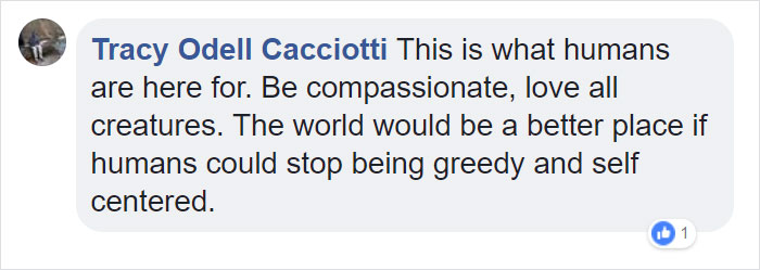 Fishermen Think They Found A Seal Floating On An Iceberg, Then They Take A Closer Look Fishermen Think They Found A Seal Floating On An Iceberg, Then They Take A Closer Look