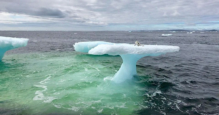 Estos pescadores creyeron ver una foca sobre un iceberg, hasta que miraron más de cerca
